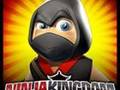 Ninja krallıq oyunları online 