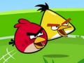 Angry birds oyunlar 