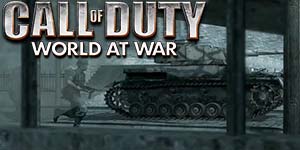 Call of Duty: Dünya Müharibəsində 